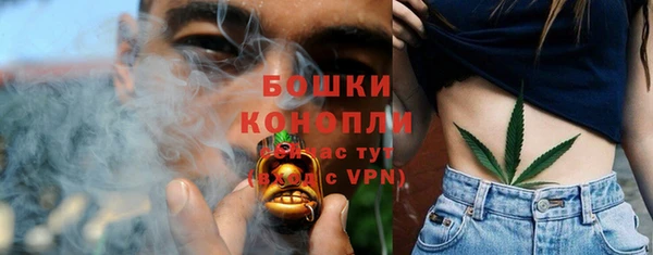 крисы Тавда