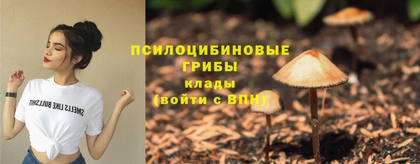 крисы Тавда