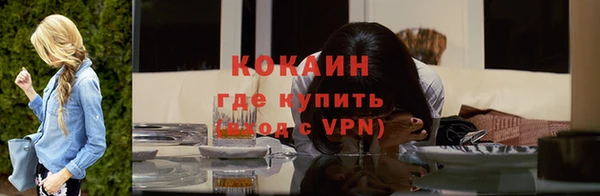 крисы Тавда