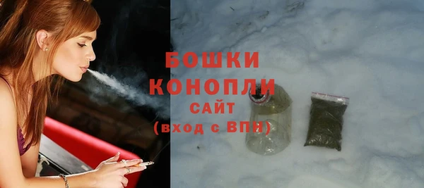 крисы Тавда