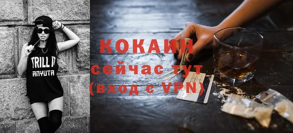 крисы Тавда